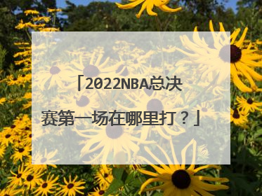 2022NBA总决赛第一场在哪里打?