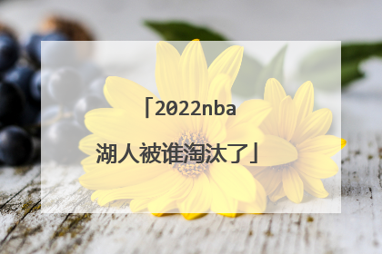 2022nba湖人被谁淘汰了