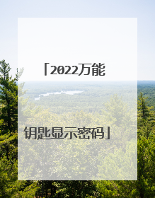 2022万能钥匙显示密码
