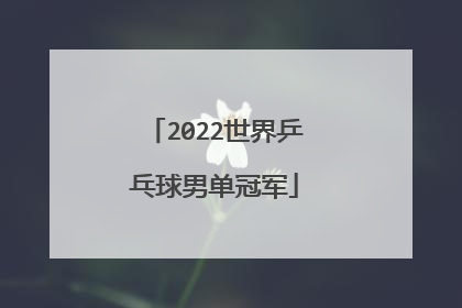 2022世界乒乓球男单冠军