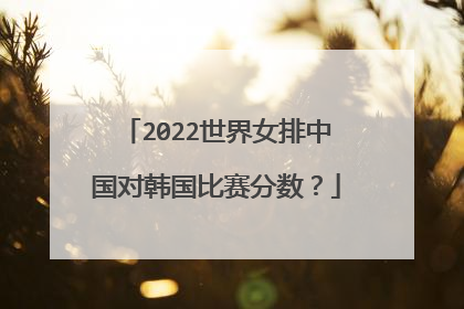2022世界女排中国对韩国比赛分数？
