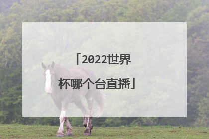 2022世界杯哪个台直播