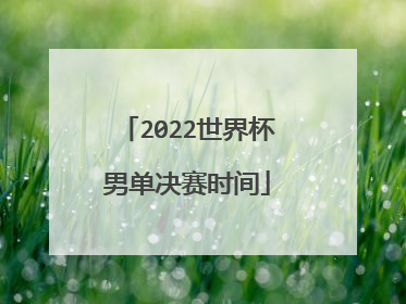2022世界杯男单决赛时间