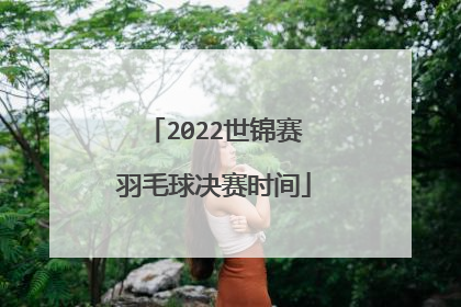 2022世锦赛羽毛球决赛时间