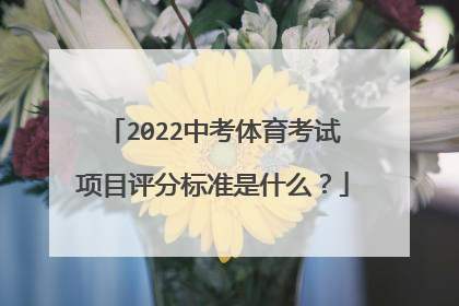 2022中考体育考试项目评分标准是什么？