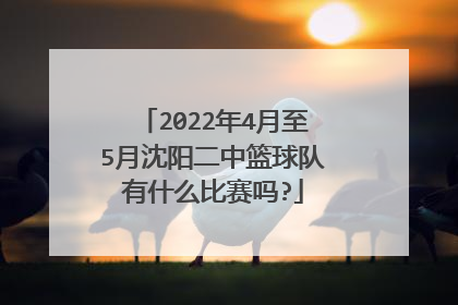 2022年4月至5月沈阳二中篮球队有什么比赛吗?