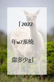 2022年w7系统盘多少g