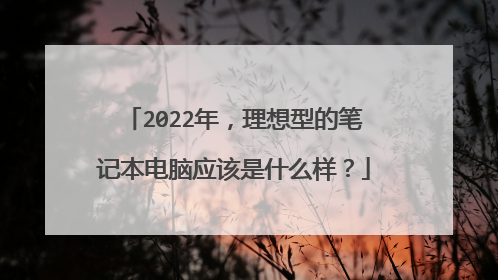 2022年，理想型的笔记本电脑应该是什么样？