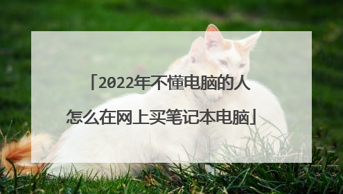 2022年不懂电脑的人怎么在网上买笔记本电脑