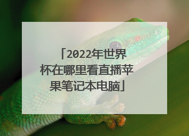 2022年世界杯在哪里看直播苹果笔记本电脑