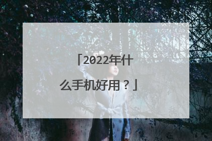 2022年什么手机好用?
