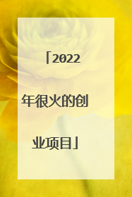 2022年很火的创业项目