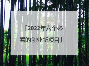 2022年六个必看的创业新项目