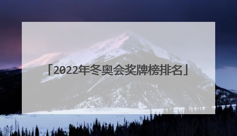2022年冬奥会奖牌榜排名