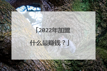 2022年加盟什么最赚钱？