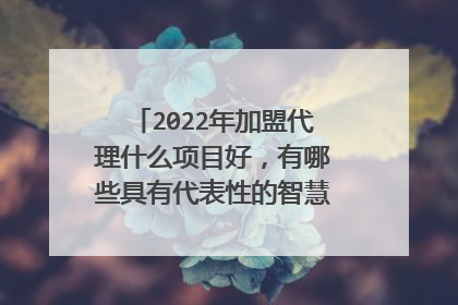 2022年加盟代理什么项目好,有哪些具有代表性的智慧工地加盟项目?