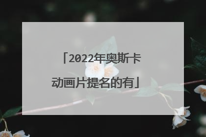 2022年奥斯卡动画片提名的有