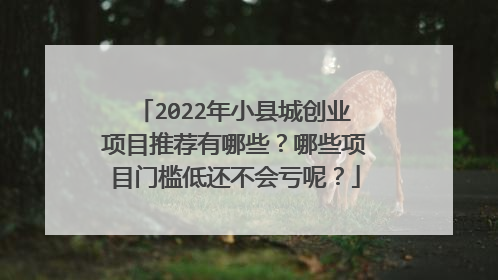 2022年小县城创业项目推荐有哪些？哪些项目门槛低还不会亏呢？
