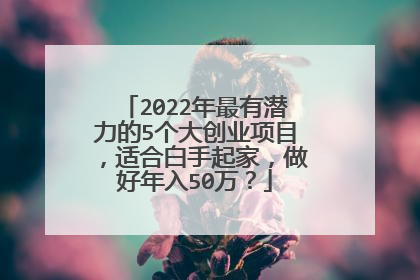 2022年最有潜力的5个大创业项目,适合白手起家,做好年入50万?