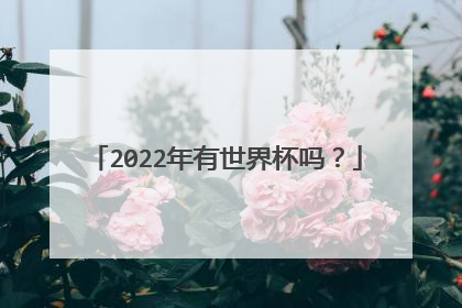 2022年有世界杯吗？