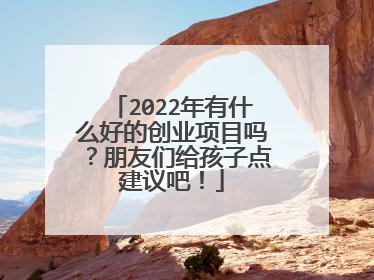 2022年有什么好的创业项目吗?朋友们给孩子点建议吧!