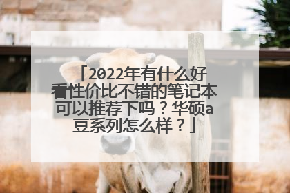 2022年有什么好看性价比不错的笔记本可以推荐下吗？华硕a豆系列怎么样？