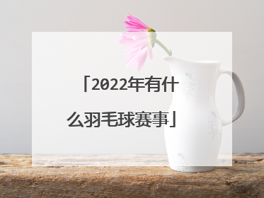 2022年有什么羽毛球赛事