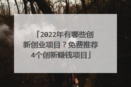 2022年有哪些创新创业项目？免费推荐4个创新赚钱项目