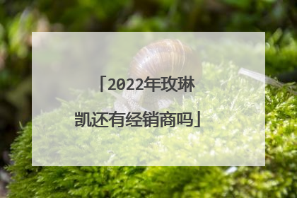 2022年玫琳凯还有经销商吗