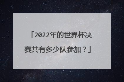 2022年的世界杯决赛共有多少队参加？