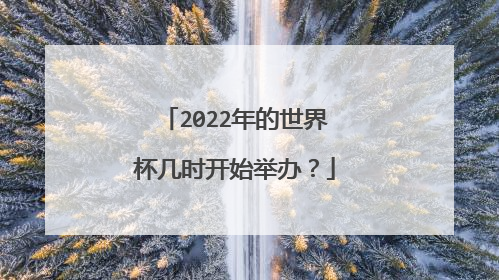 2022年的世界杯几时开始举办？