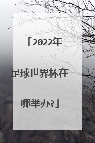 2022年足球世界杯在哪举办?