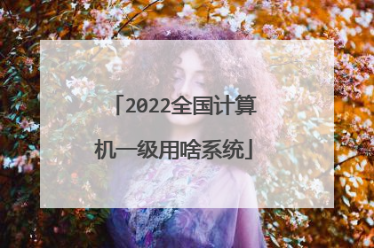 2022全国计算机一级用啥系统