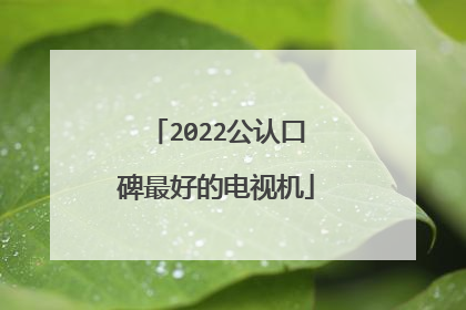 2022公认口碑最好的电视机