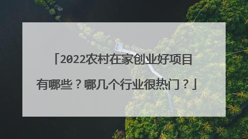 2022农村在家创业好项目有哪些?哪几个行业很热门?