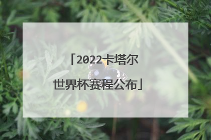 2022卡塔尔世界杯赛程公布