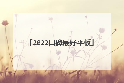 2022口碑最好平板