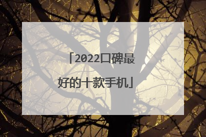 2022口碑最好的十款手机