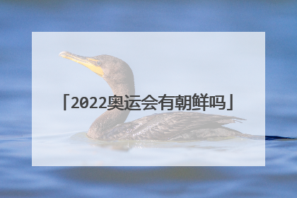 2022奥运会有朝鲜吗