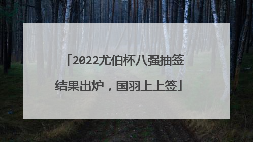 2022尤伯杯八强抽签结果出炉,国羽上上签