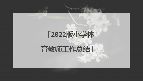 2022版小学体育教师工作总结