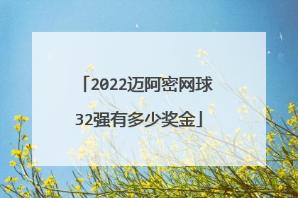 2022迈阿密网球32强有多少奖金