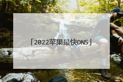 2022苹果最快DNS