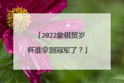 2022象棋贺岁杯谁拿到冠军了？