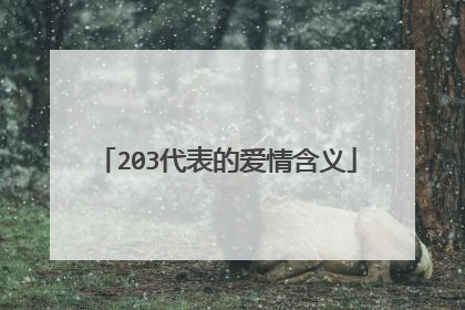 203代表的爱情含义