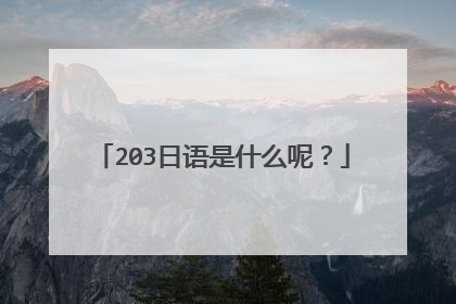 203日语是什么呢?