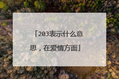 203表示什么意思,在爱情方面