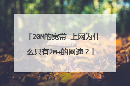 20M的宽带 上网为什么只有2M+的网速?