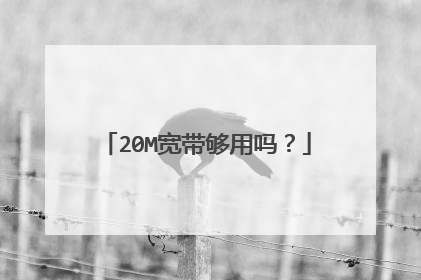 20M宽带够用吗？