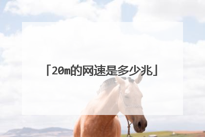 20m的网速是多少兆